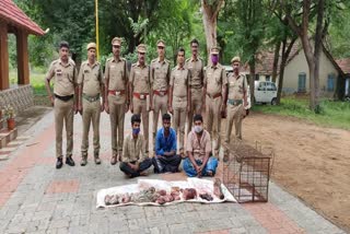 Forest department fines three for wildlife poaching