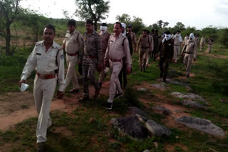 Police searching crooks in jungle