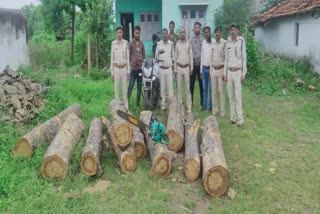 Forest police arrested acceder for harvesting illegal team