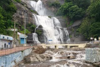 Heavy rain pouring down early in the morning; Flooding in Courtallam Falls!