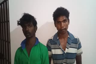 Two arrested for cutting sandalwood in Harur