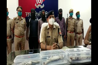 Police arrested vicious thieves and miscreants seeking extortion in Rae Bareli