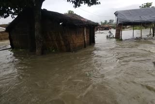 Thousands of homes flooded due to heavy rains and increase in the level of Gandak river