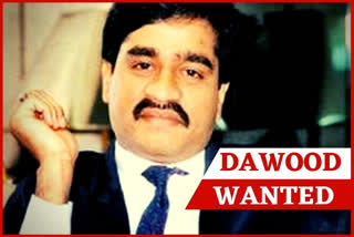 dawood-ibrahim-not-our-citizen-says-dominica-govt