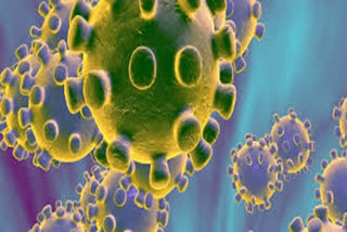 The mask of infectious diseases