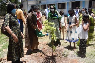 Plantation in Government Girl Child and Nari Niketan campus