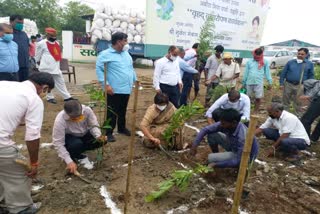 मियावाकी पद्धति से पौधे लगाते अधिकारी