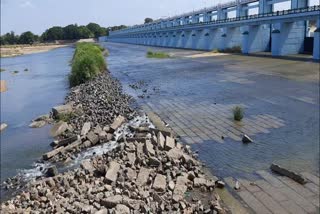 முக்கொம்பு மேலணையில் இருந்து காவிரி நீர் திறப்பு