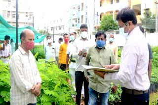 medak collector, haritha haram 2021 