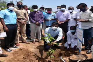 பாரம்பரியமிக்க மரக் கன்றுகளை நடவு செய்த ராமநாதபுரம் மாவட்ட ஆட்சியர்