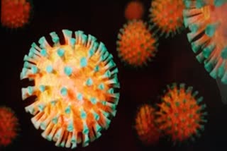 Coronavirus confirm cases in west bengal
