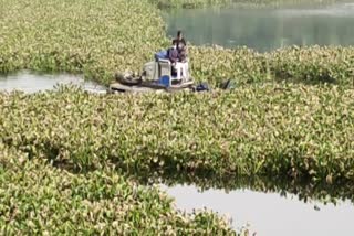 உக்கடம் ஏரி