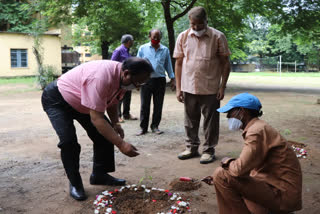 Plantation in Jamshedpur