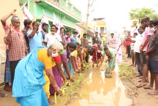 People protesting by planting plants on the road