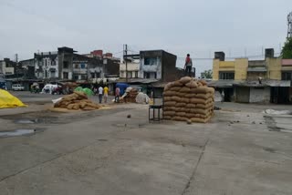 Grain kept wet in mandis