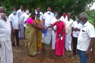 Tree Planting Ceremony in Omalur due to Monsoon - Assembly Member Participates!