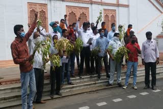 Farmers are demanding compensation