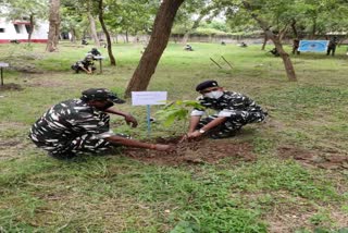 CRPF jawan planted hundreds of trees under tree plantation campaign in Nawada