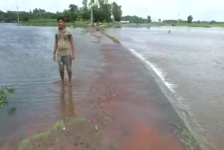 Water level rises in mahananda, malda