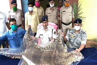 Leopard skin seized in Gariaband