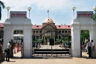 allahabad high court