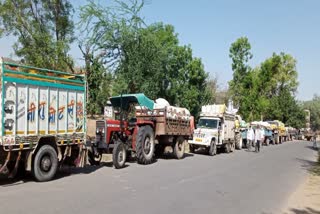 Alwar news, Crop Purchase Center, अलवर न्यूज, मुंडावर न्यूज