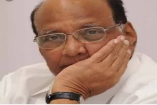 sharad pawar 