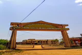 Agriculture market chimur