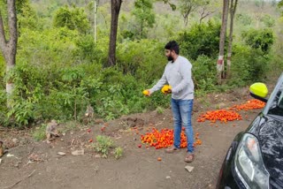 animal lovers at kothagudem district