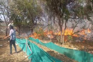 jaipur news, Fire, Rajasthan University campus