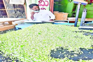   jasmine flowers  sales reduced at Kurnool