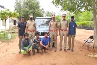 Thoothukudi rabbit hunting issue