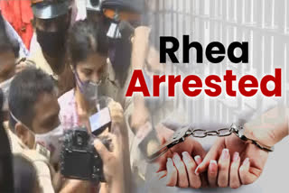 rhea-chakraborty-arrested-by-ncb