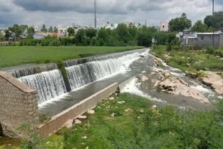 Opening of water for irrigation from Surampatti Damq