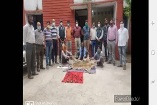 Three hunters with leopard skins arrested in Jabalpur