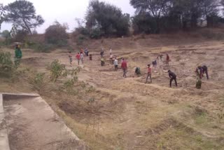 મનરેગા યોજના હેઠળ તાલાલાના 4 ગામોના 200થી વધુ શ્રમિકોને મળશે આજીવિકા