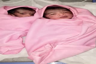 Successful delivery of twins in ambulance by Saputara 108 team