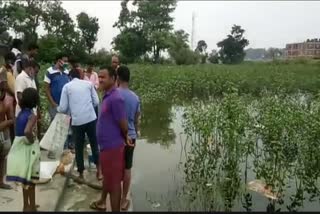 thousands of rupees died of fish poisoning in pond at hazaribag