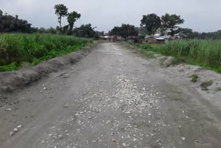 Government regulations are being circumvented in road construction in bettiah