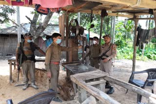 FOREST DEPARTMENT SEALS TWO ILLEGAL SAW MILLS