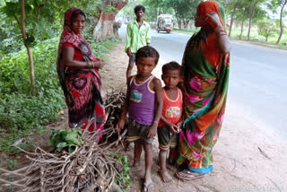 Mahadalit family forced to choose wood