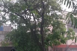 rain in raipur