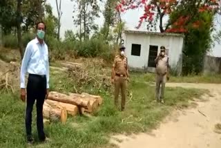 maharajganj forest department