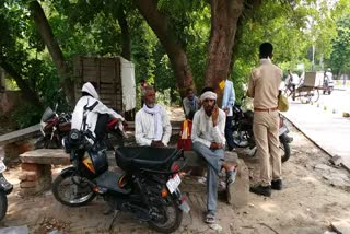 dead body of elderly found hanging