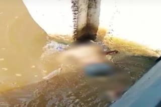 woman body found in koyal river of palamu