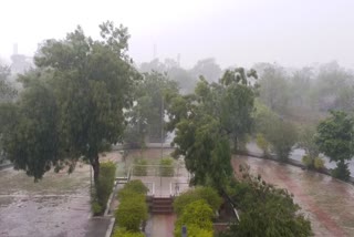hingoli rain news 