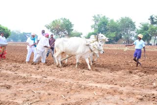 minister errabelli dayakarrao farming