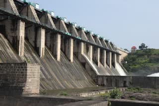 fifty percent water in all dam of dindori taluka at nashik