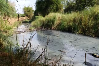 Drainage Water Issue In Thiruvarur