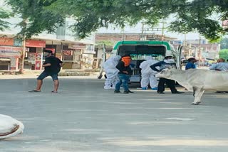 pratapgah corona positive case 